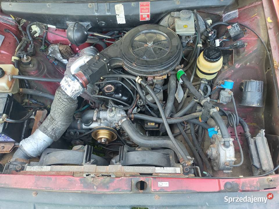 Polonez