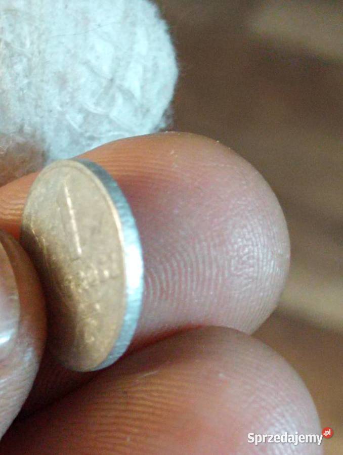 Sprzedam piaty 1 gr 1949 r bzm Chełm