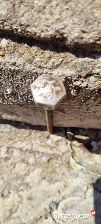 Wfm shl wsk korek nakretka wskaźnik poziomu Pielgrzymka sprzedam