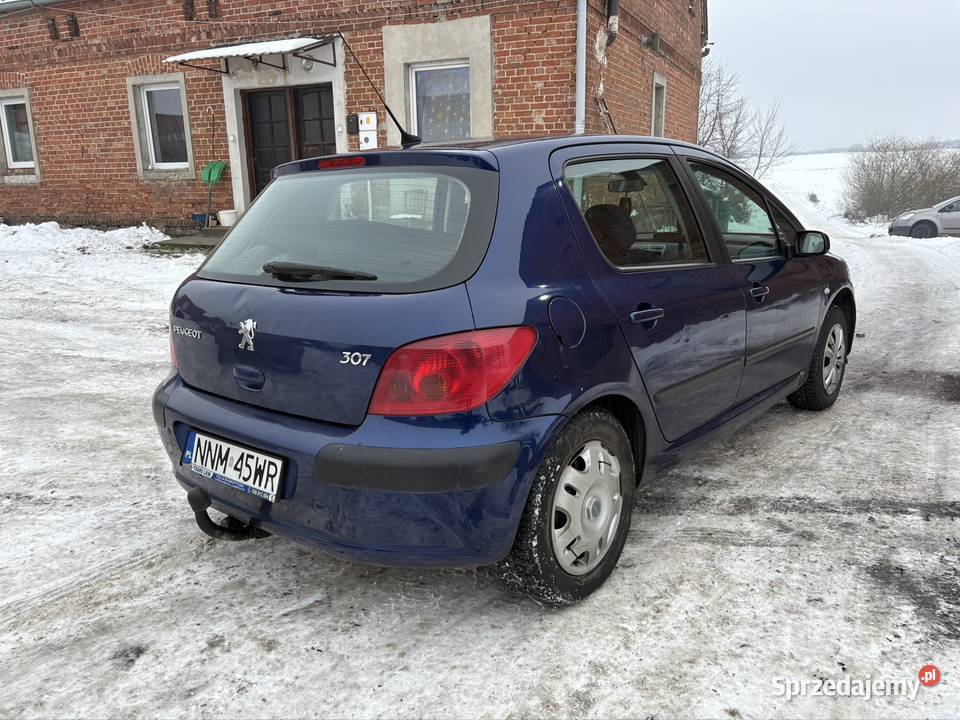 Peugeot 307 1616v zadbany 4/5