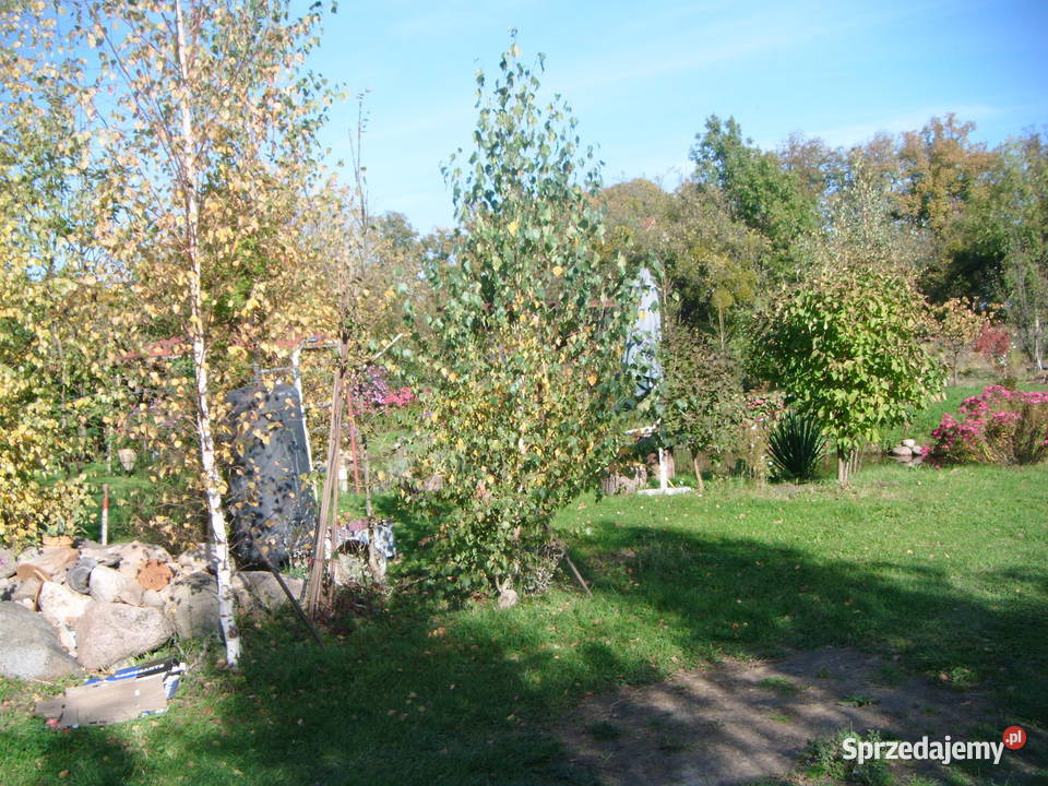 dom na sprzedaż zamiane Psary sprzedam