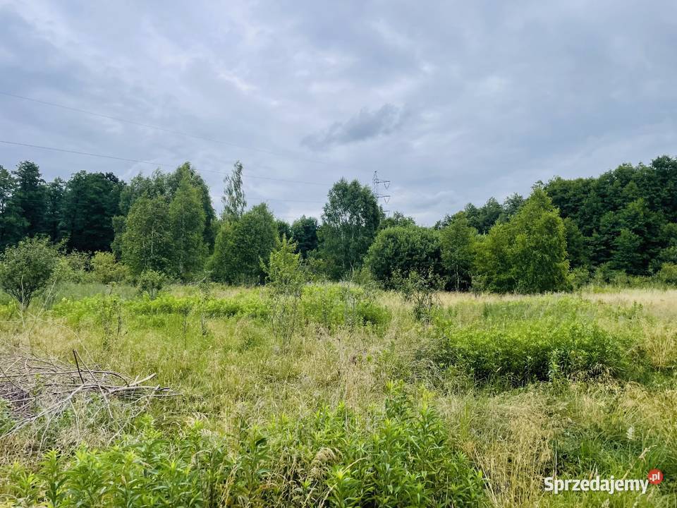 Sprzedam działkę rolną 170ha zostań rolnikiem Sprzedaż Nieruchomości mazowieckie Skruda