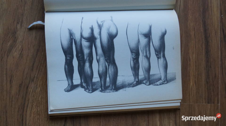 Jeno Barcsay Anatomia artysty 1988 Rok wydania 1988 Mrowino