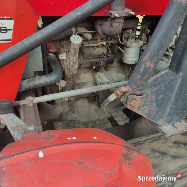 MF 255 1990 Popielina sprzedam
