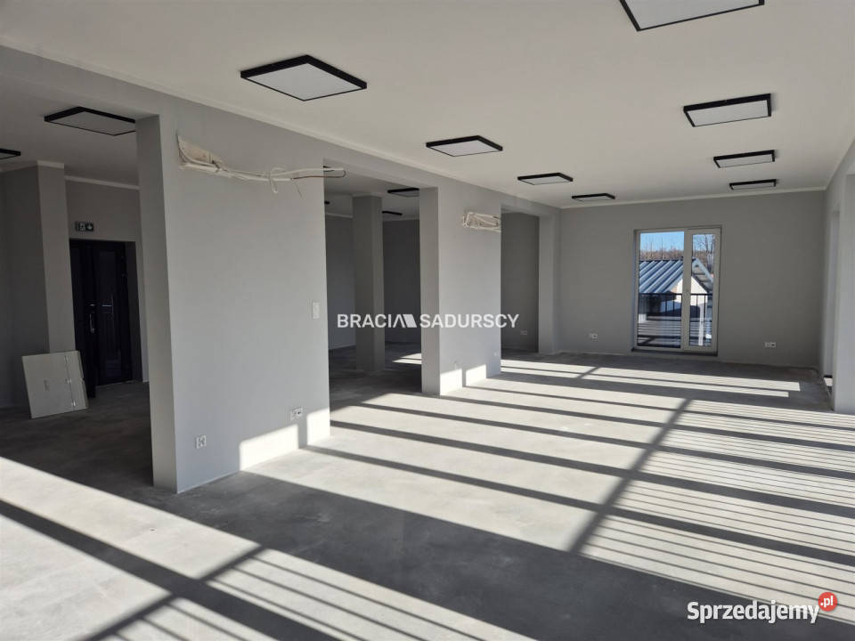 Lokal Kraków Łęg 310m2