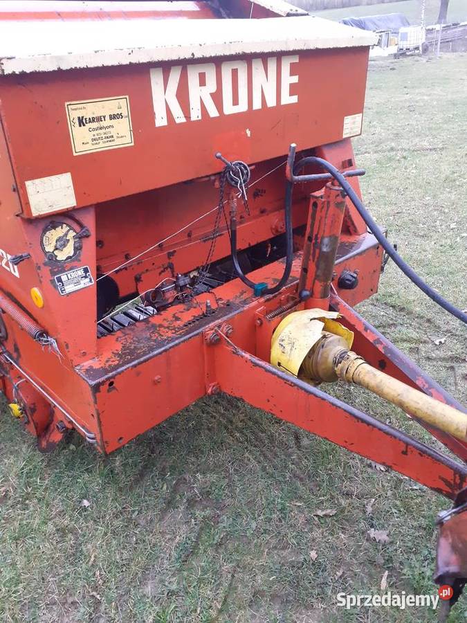 Sprzedam prase krone 120 Radecznica sprzedam