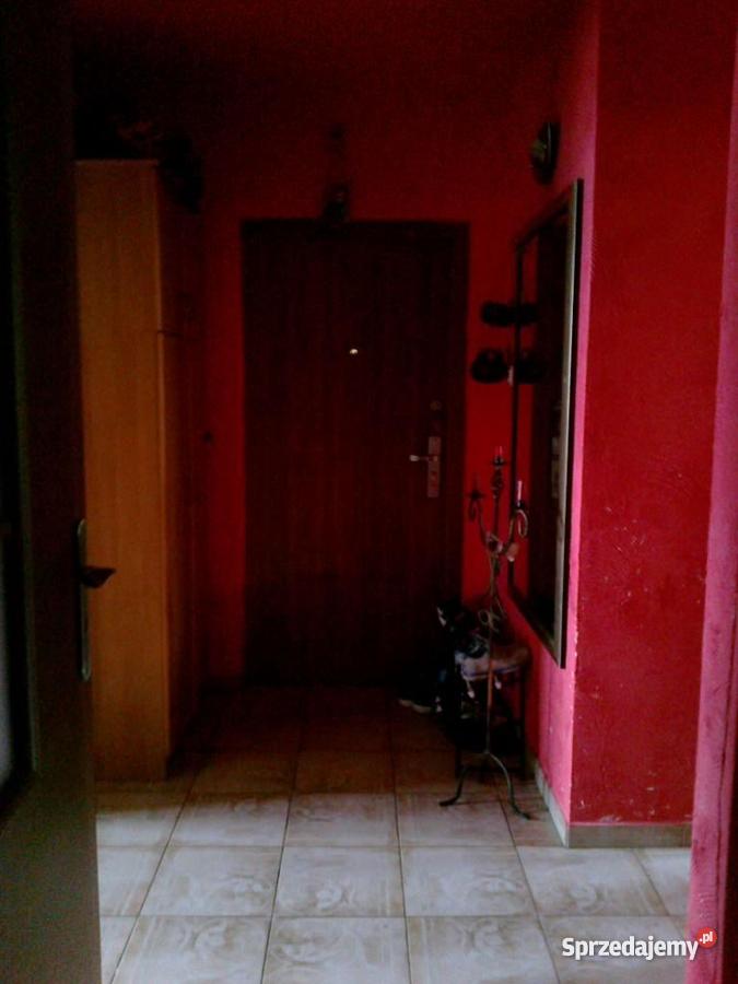 mieszkanie odstępne