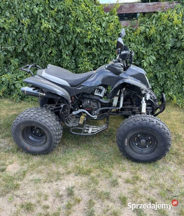 Quad bashan 250 sprzedam zamienie Międzyrzecz