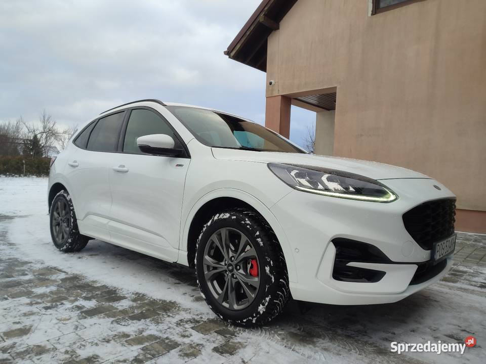 Ford Kuga MK3 STLine PHEV 2021 Automat Bogate sprowadzony Ostrów Wielkopolski