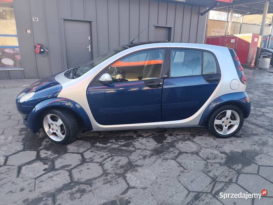 Smart forfour 15 świeży przegląd Grobniki