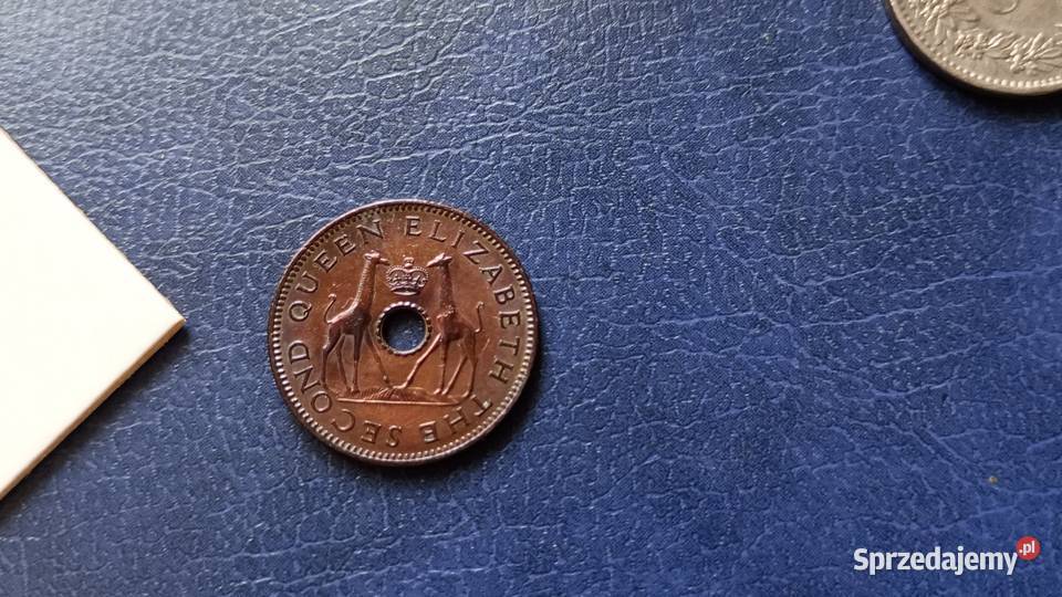 Stare monety 12 pens 1964 Rodezja i Nasa Lesko