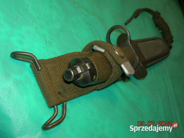 Bagnet Norweski w stanie Łódź