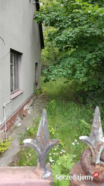 DZIAŁKA INWESTORA GÓRA KALWARIA 10973m2 Góra Kalwaria