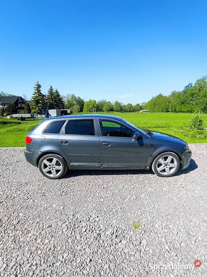 Audi a3 8p 20tdi quattro 447000km Zakopane