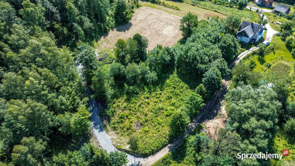 Sprzedam działka 3671m2 Żarnówka os Grapa Sprzedaż