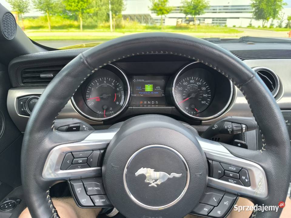 Ford Mustang GT cabrio 50 lecie 2015 Łomża