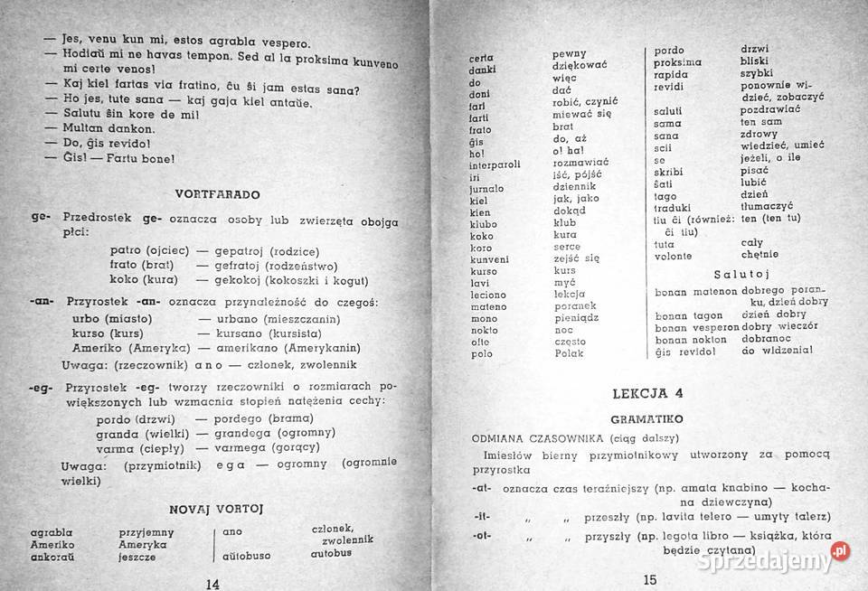 1000 słów języka esperanto Edmund i Jan Fethke Chełm