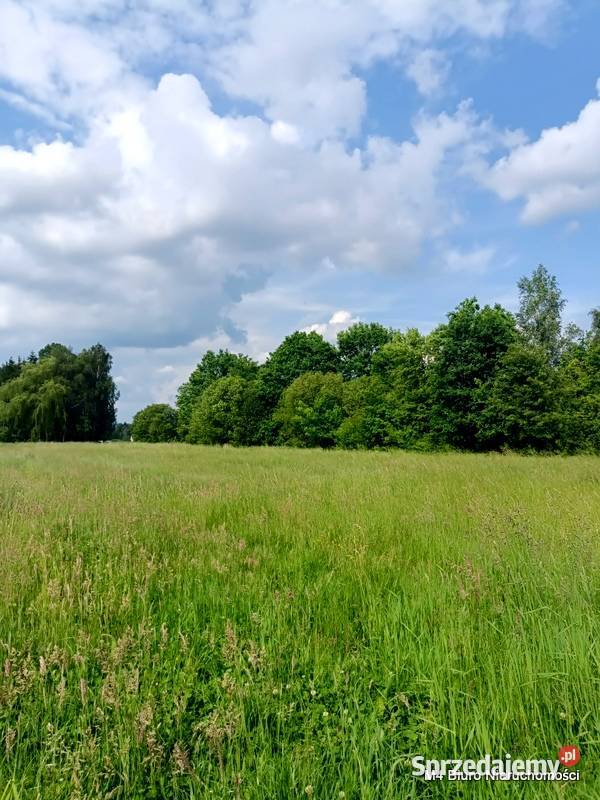 ŁADNA DZIAŁKA W ŚWIERZOWEJ POLSKIEJ 24 AR podkarpackie Krosno