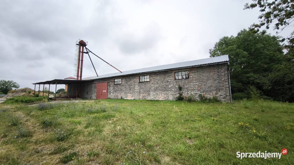 Magazyn grunt 23 ar idealny pod biznes