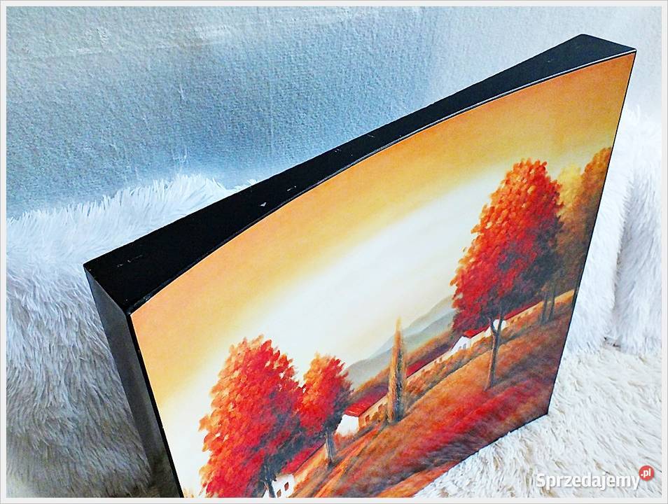 Nietypowy stary obraz na ścianę Curved sygnowany