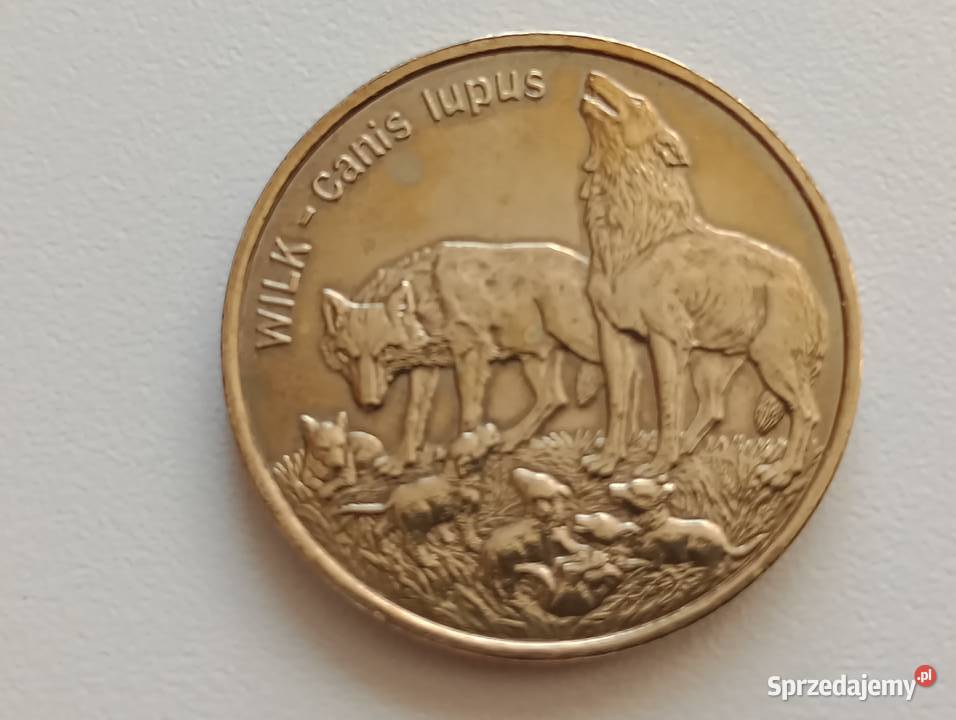 Moneta 2zl 1999 r Wilki Seria Zwierzęta świata Mosina