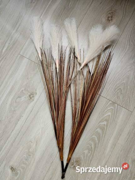 Sztuczne pióropusze Pozostałe Rzeszów