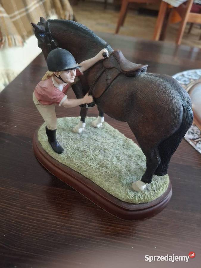 Wyprzedaż różności