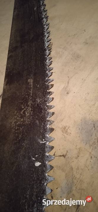 Stara duża piła do drzewa Świdnica