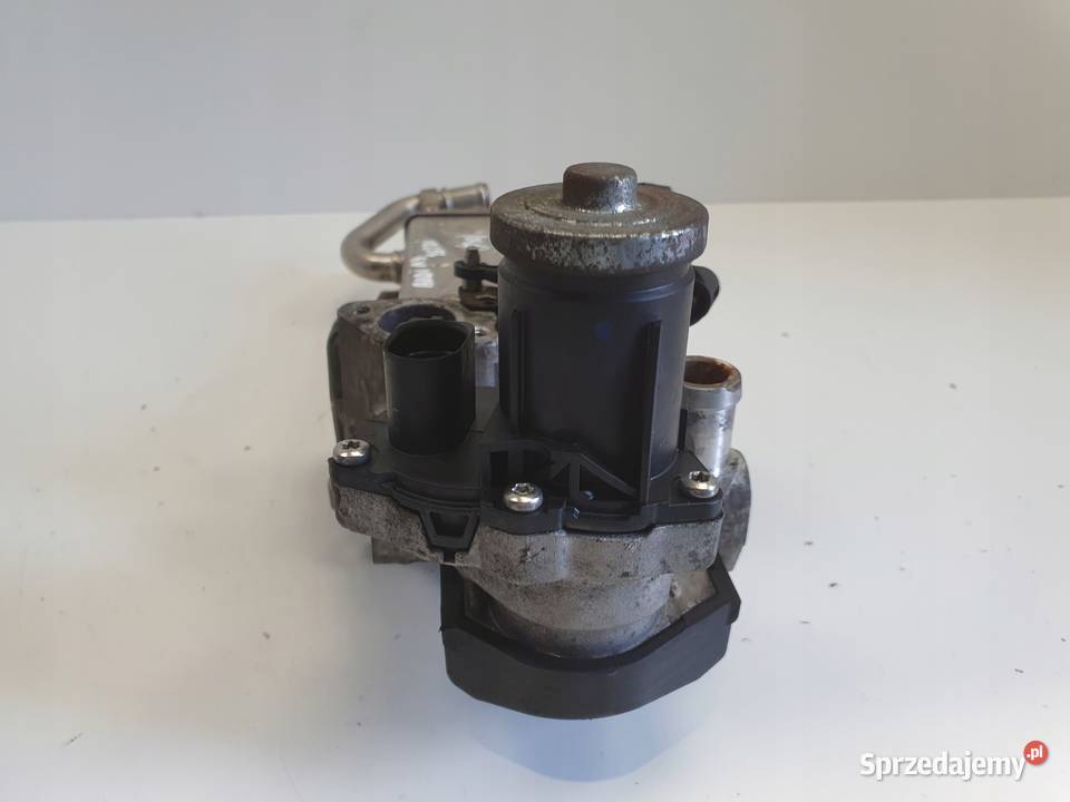 Audi A3 II 8P 16 TDI CHŁODNICA SPALIN egr Chełm