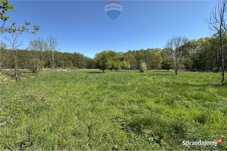 Tereny produkcyjno magazynowo usługowe DK 36 0m dolnośląskie sprzedam