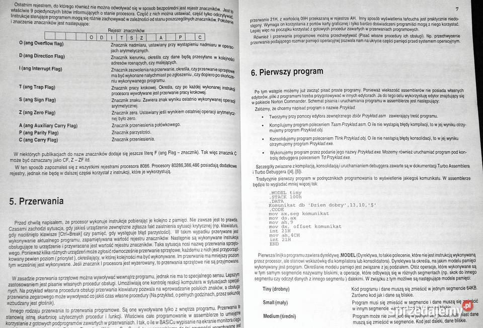 pisać wirusy Andrzej Dudek miękka Książki i Podręczniki Chełm