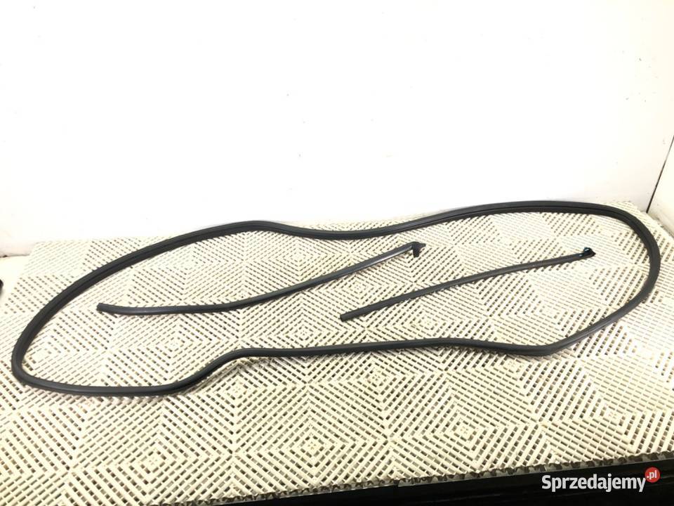 USZCZELKA DRZWI TYŁ PRAWA HONDA ODYSSEY Van