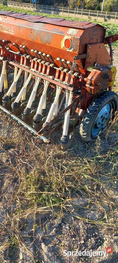 Siewnik poznaniak Opatówek