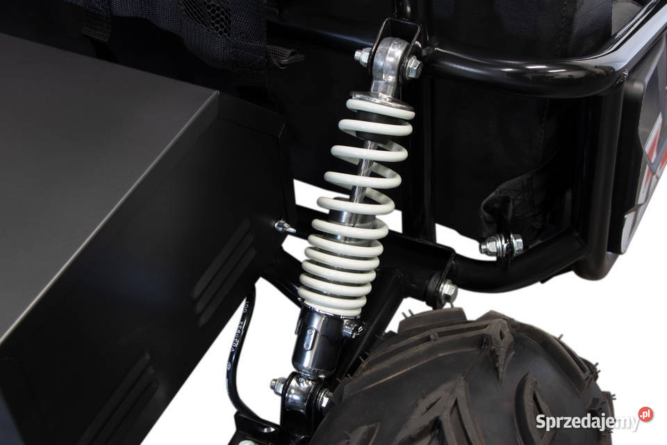 DUŻY BUGGY 1000W 60V 20Ah ELEKTRYCZNY 2 osobowy