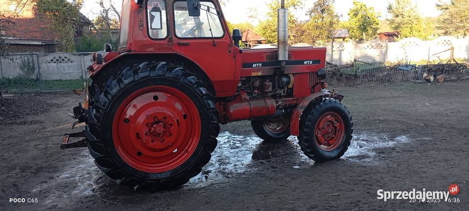MTS MTZ 80 Białoruś Belarus 1985 Jemielno