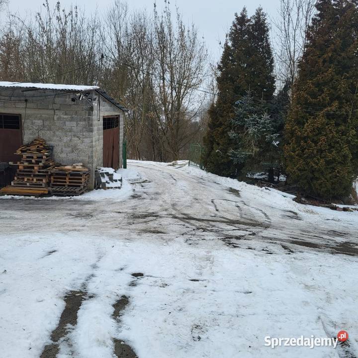 Sprzedam nieruchomość w miejscowości Prusy koł