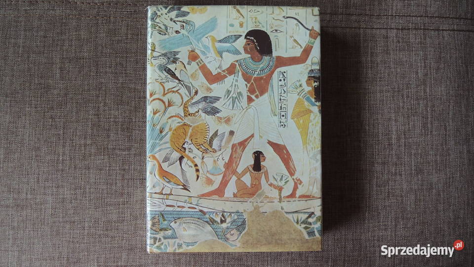 Książka Historia Sztuki tom 1 Michał W Ałpatow podlaskie