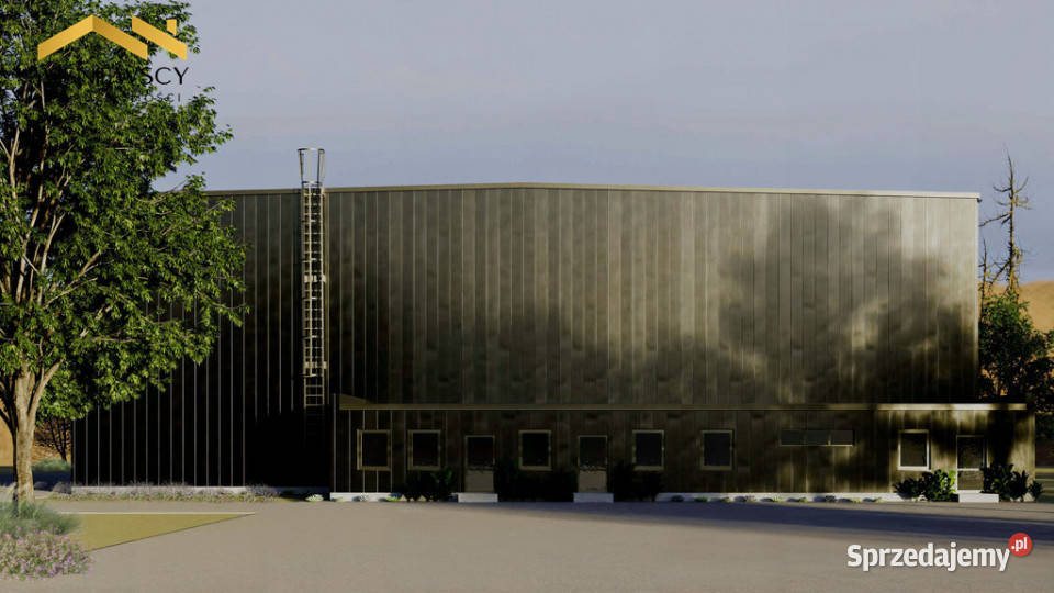 Hale produkcyjne biura 10 000 m działki