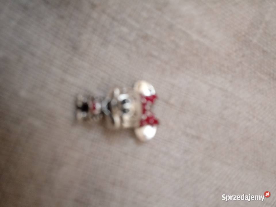 charms disney Pozostałe Bydgoszcz sprzedam