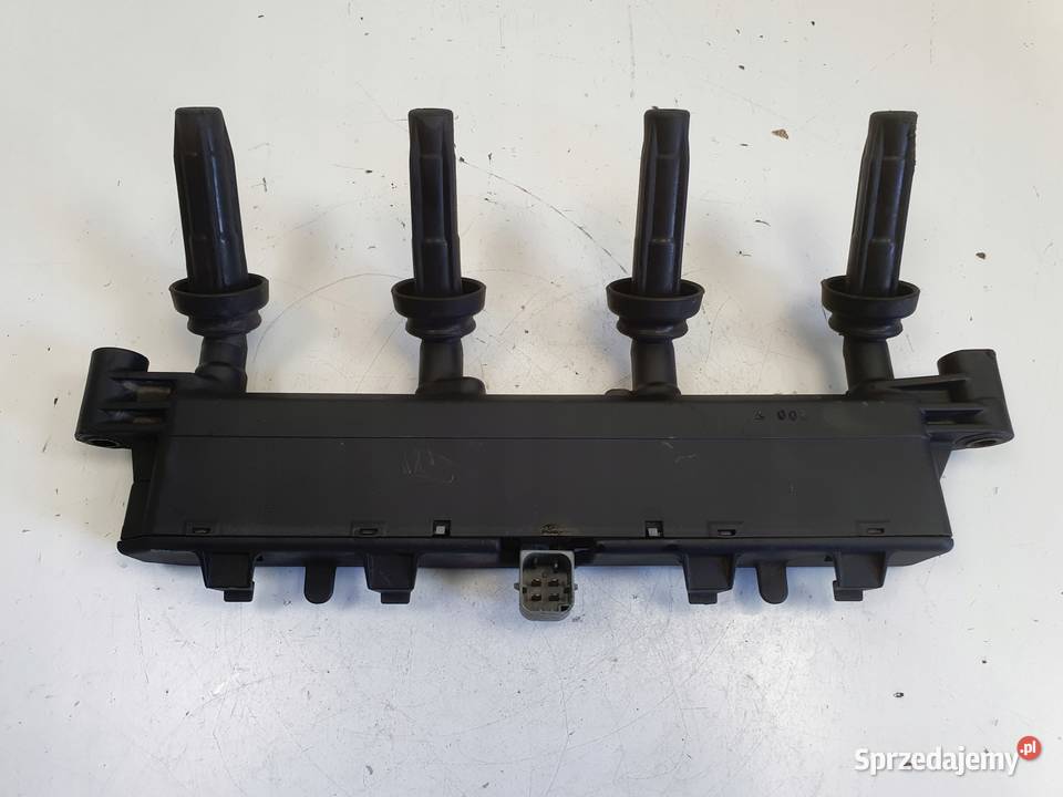 CEWKA ZAPŁONOWA Peugeot 206 14 8V 2526208 Rudka