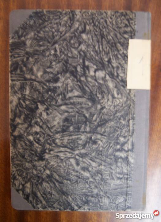 Borys Gorbatow Dusze nieujarzmione 1949 Rok wydania 1949 sprzedam