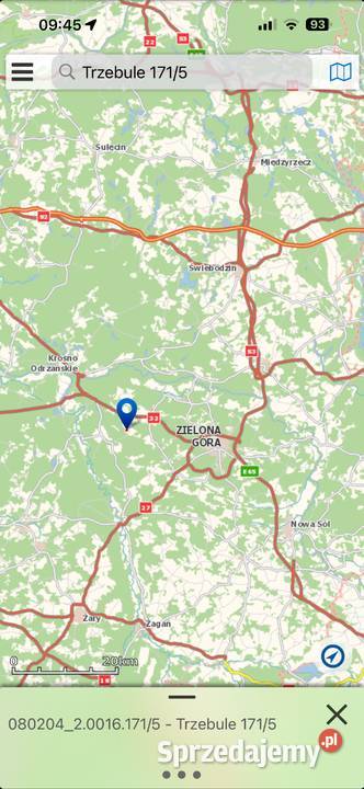 Działka z pięknym drzewostanem Trzebule