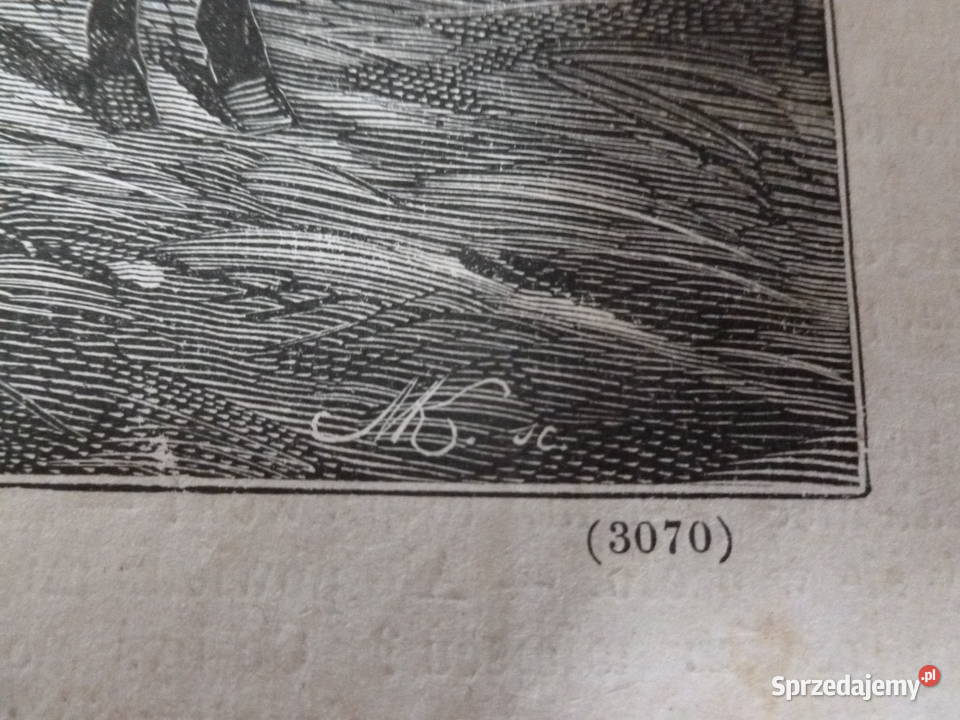 A Kowalski Drzeworyt sztorcowy Kłosy 1875 r Mława