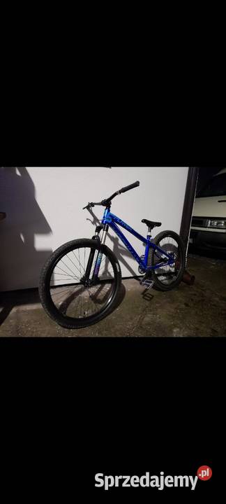 Dartmoor two6player short 2019 Górskie, MTB Nowy Sącz