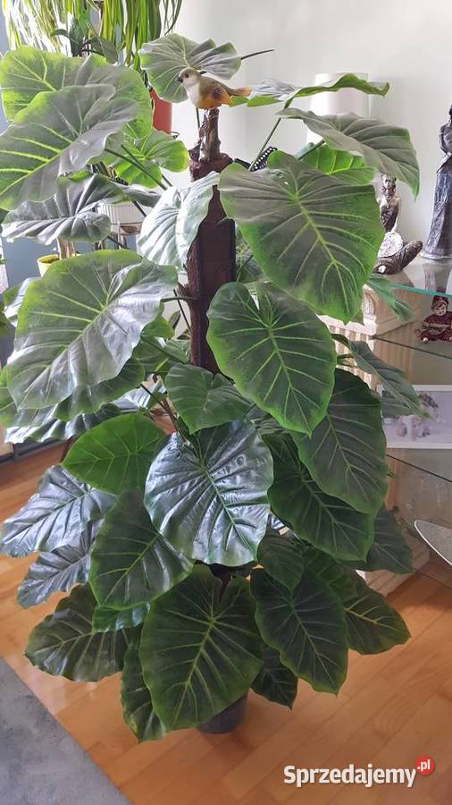 Sztuczny Filodendron Monstera Rośliny domowe Chorzów