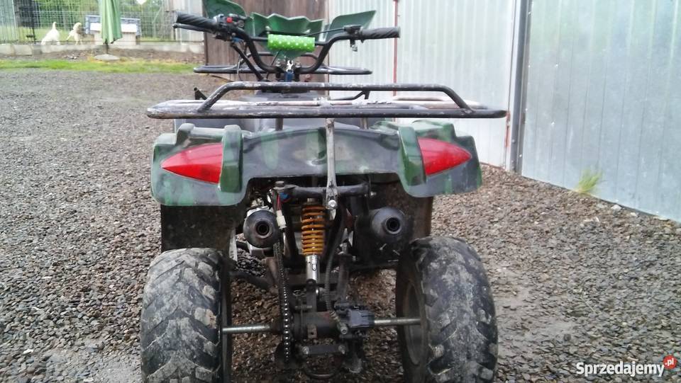 Quad 110 kingway podkarpackie Dubiecko