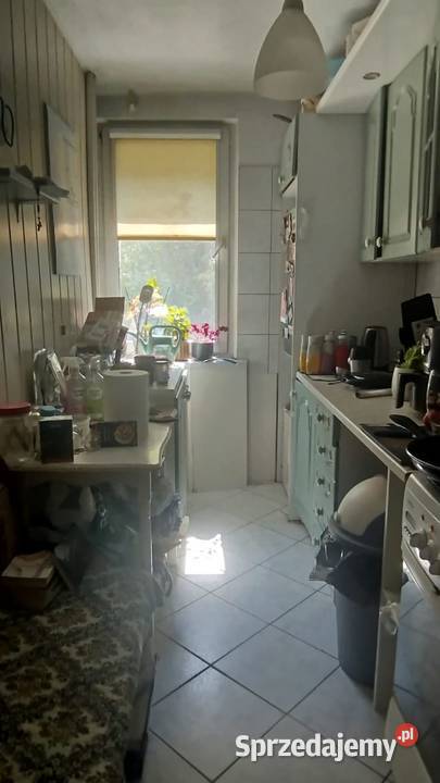 Mieszkanie dwupokojowe do wynajęcia Opole 3 piętra i więcej sprzedam