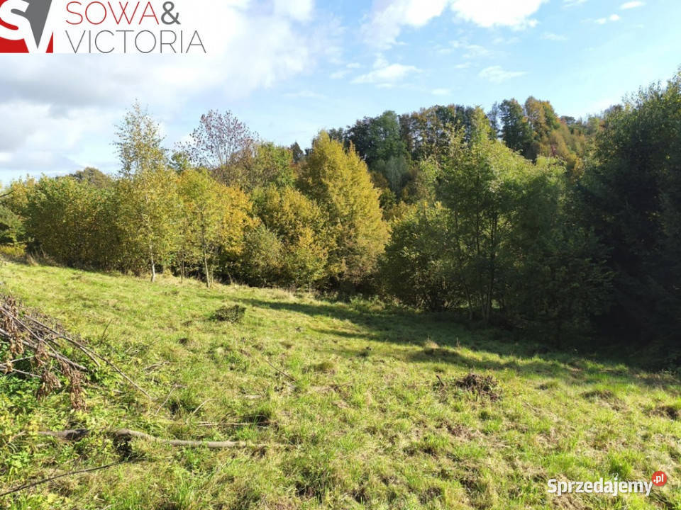 Kameralne miejsce z pięknym widokiem budowlana Niedźwiedzica