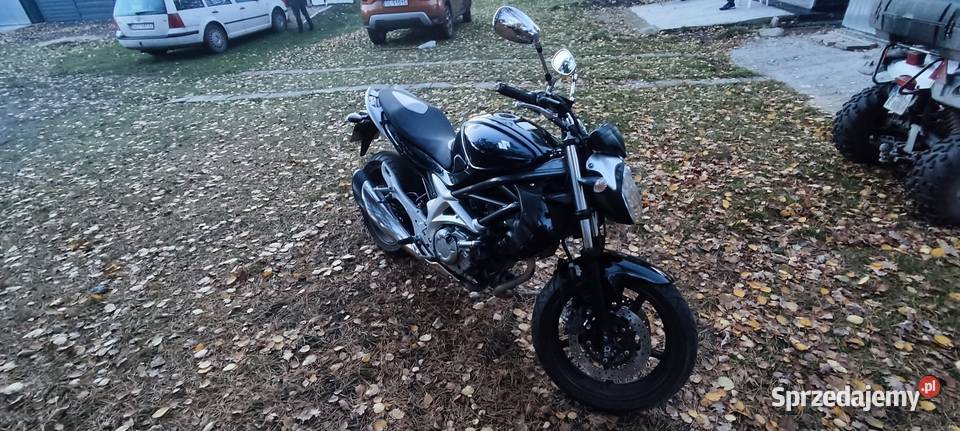 Suzuki Gladius SFV650 benzyna Ruda Śląska
