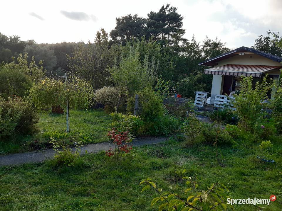 Działka ROD 448m2 pomorskie Gdańsk